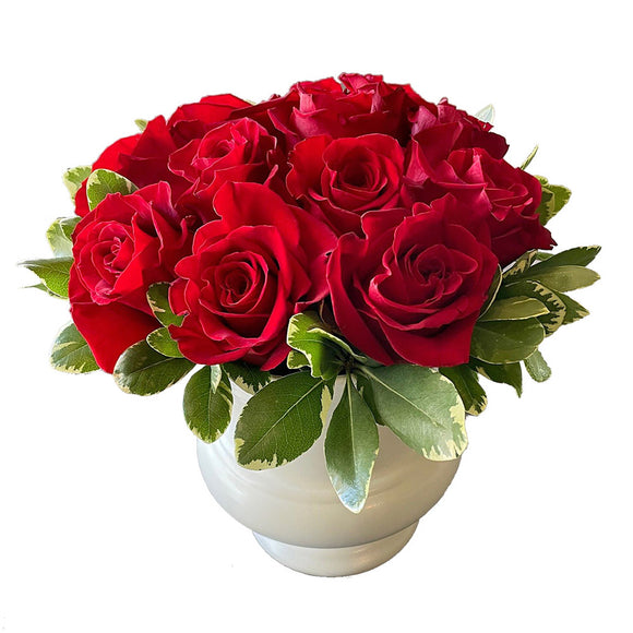 Rose Romance (Red Roses)