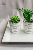 Trio French Pot Assorted Succulent on White Tray
