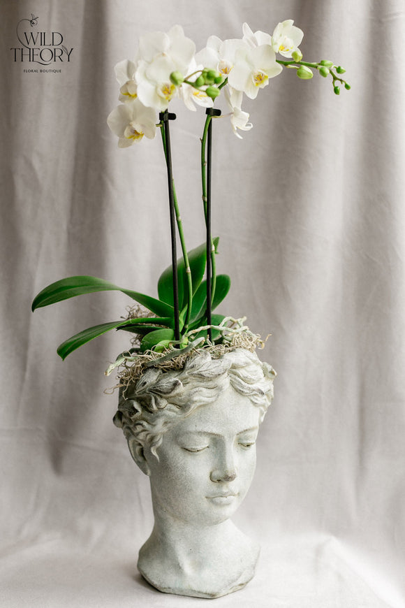Concrete Head with small orchid plant (Large)