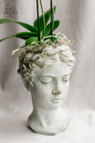 Concrete Head with small orchid plant (Large)