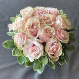 Rose Romance (Assorted Colours)